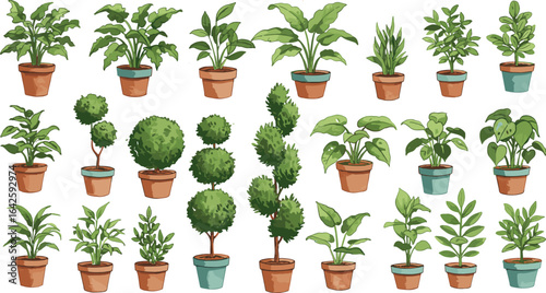 Collection of potted indoor houseplants and topiary illustrations in decorative clay pots, green leafy foliage plant set isolated on white background for home decor design