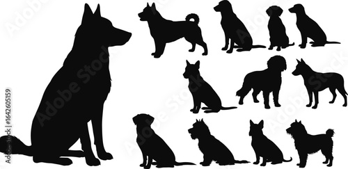 Collection of dog breed silhouettes, various dog poses, sitting and standing pet vector, isolated black canine illustrations on white background