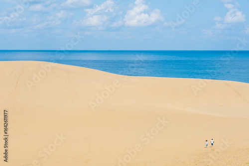 Fototapeta Naklejka Na Ścianę i Meble -  鳥取砂丘