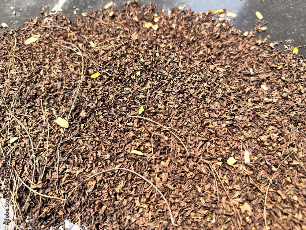 Close up of dry brown leaves and small twigs scattered together on dark surface Close up of dry brown leaves and small twigs scattered together on dark surface