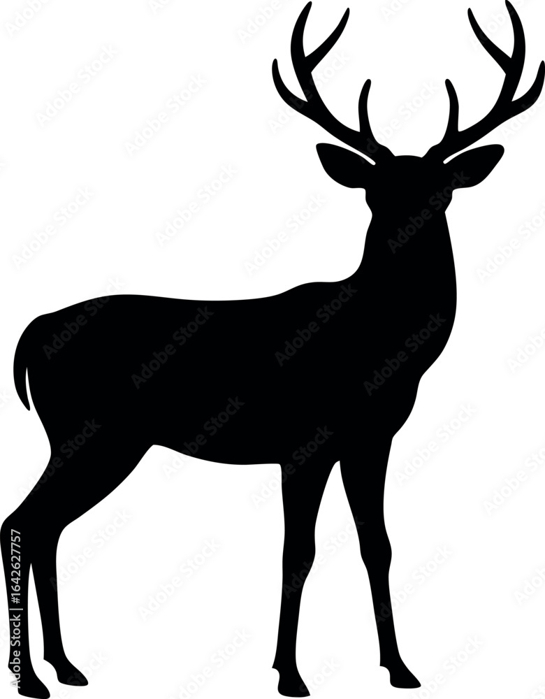 Fototapeta premium Deer standing with antlers facing forward silhouette vector