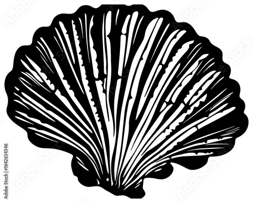 scallop seafood seilhouette drawing