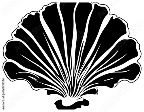 scallop seafood seilhouette drawing