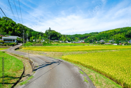 田舎の風景