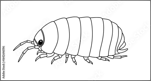 Simple black-and-white pill bug coloring page for preschool and kindergarten worksheets. Thick lines, easy to color. Vector EPS.