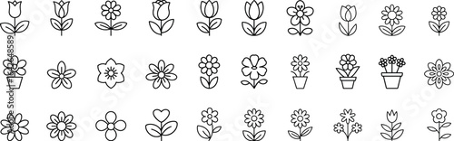 Flower, botanical icon set. carnation peony black silhouette vector illustration.