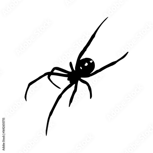 Fototapeta black widow spider vector clipart
