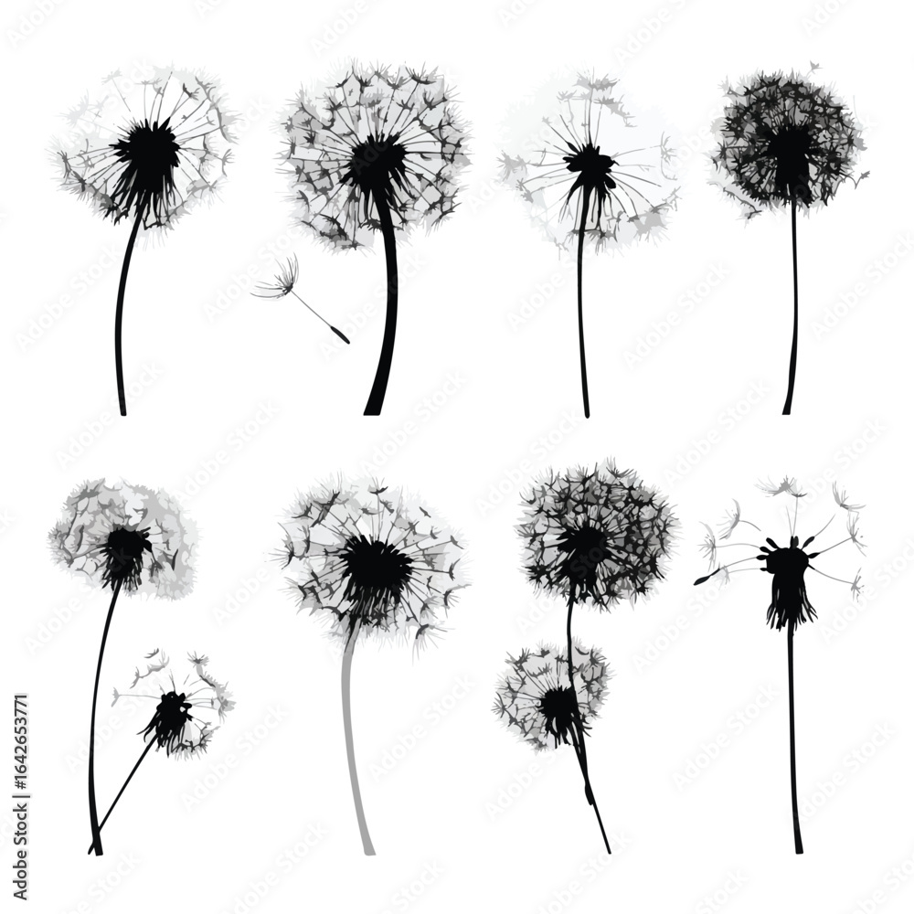 custom made wallpaper toronto digitalvector illustration of dandelion silhouette set, Black & White silhouette set 