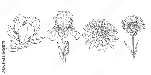 Elegant line art collection of botanical flowers, featuring magnolia, iris, and aster blossoms.