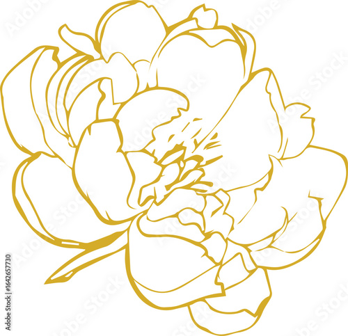 vector drawing of a yellow rose