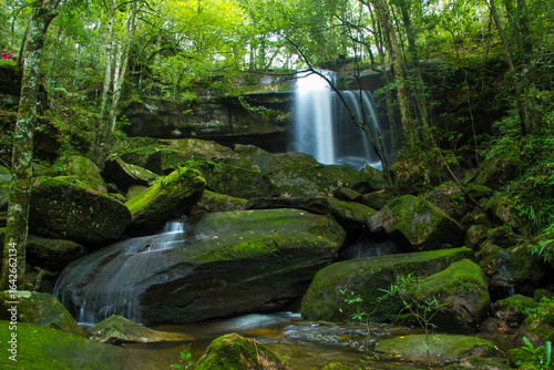 waterfall in the forest