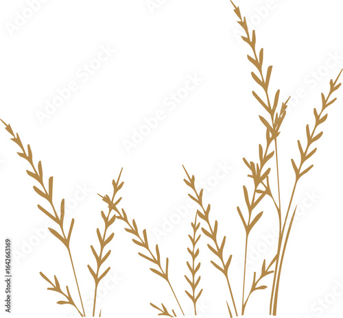 ears of wheat