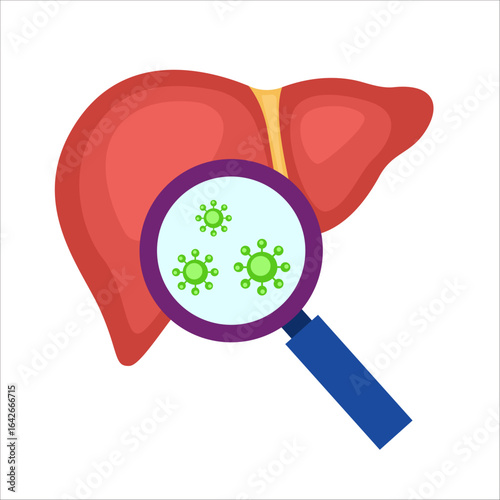 liver hepatitis virus infection concept