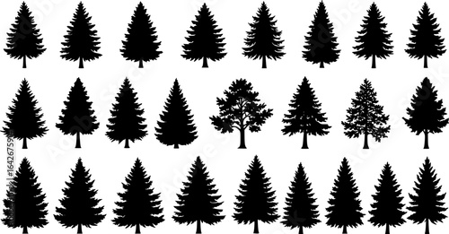 Pine tree silhouettes. Evergreen forest firs and spruces black shapes, wild nature trees templates. Vector illustration woodland trees set on white background