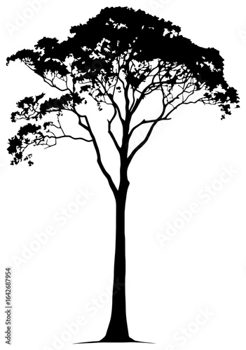 Teak tree silhouette drawing element