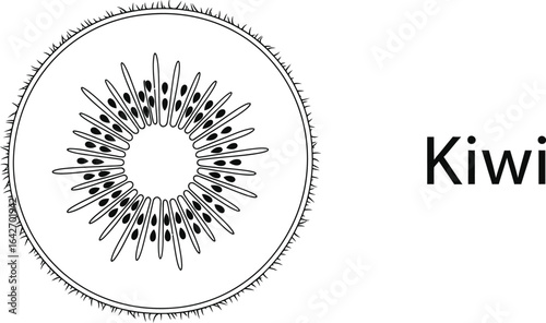 Simple kiwi illustration, showcasing its seeds, flesh, and skin, representing a healthy and nutritious tropical fruit, perfect for promoting a balanced diet and lifestyle