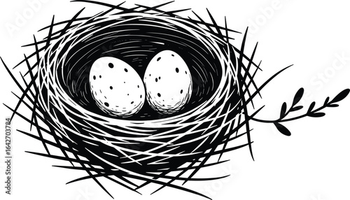 Bird nest with eggs, nature wildlife, natural habitat, fresh bird eggs, spring season, nest on branch, animal life, close up nature, peaceful environment, bird home, organic nesting, wildlife concept,