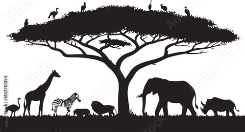 Vector animal silhouettes of wildlife like elephants and giraffes against a safari sunset landscape
