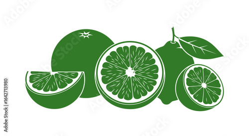 fresh limes and oranges zesty vector illustration for healthy recipes