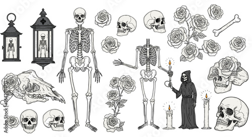 Collection of halloween themed illustrations including skeletons skulls roses and a grim reaper