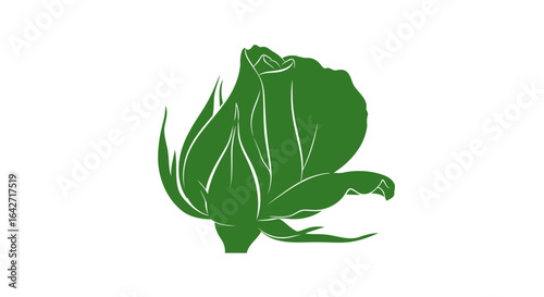 unfolding green rosebud natures promise of growth and renewal
