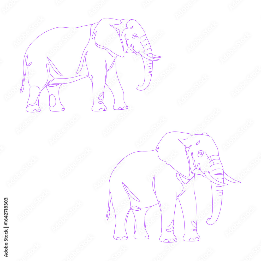 Fototapeta premium Minimalist line art illustration of elephant