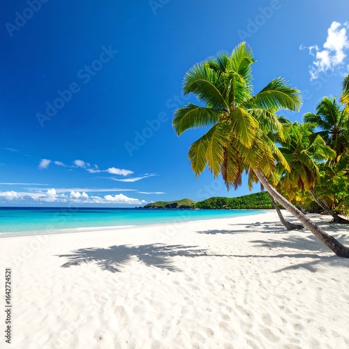 Tropical beach paradise (4)