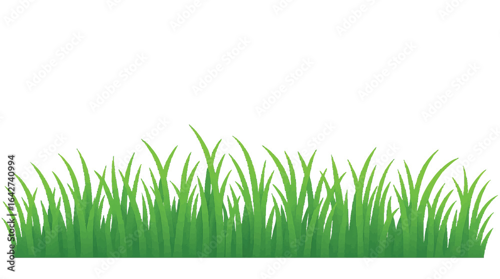 Fototapeta premium Vector Illustration of Fresh Green Grass with Transparent Background