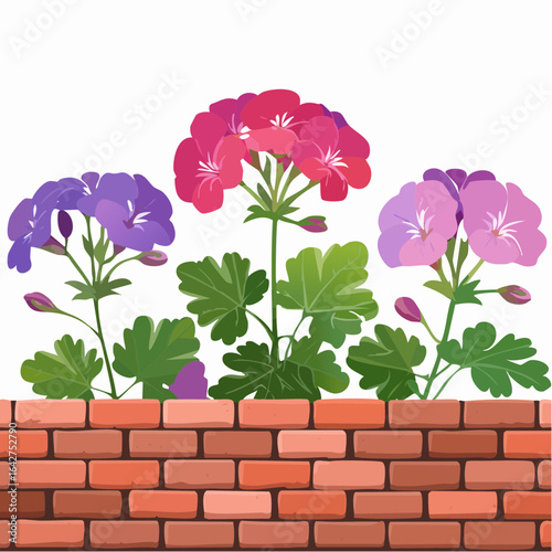 Beautiful flowerpot houseplant vector illustration concept
4