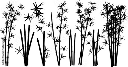 bambus silhouettes volume 1
