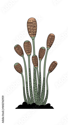 An ancient plant illustrating early earth flora showing remarkable resilience through millennia of evolution