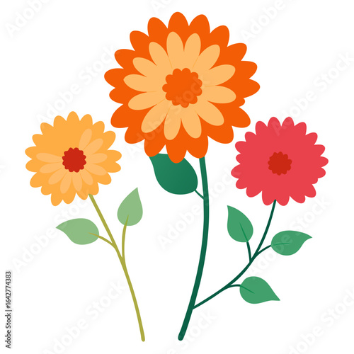 mixed chrysanthemums tiny filler flowers on transparent background