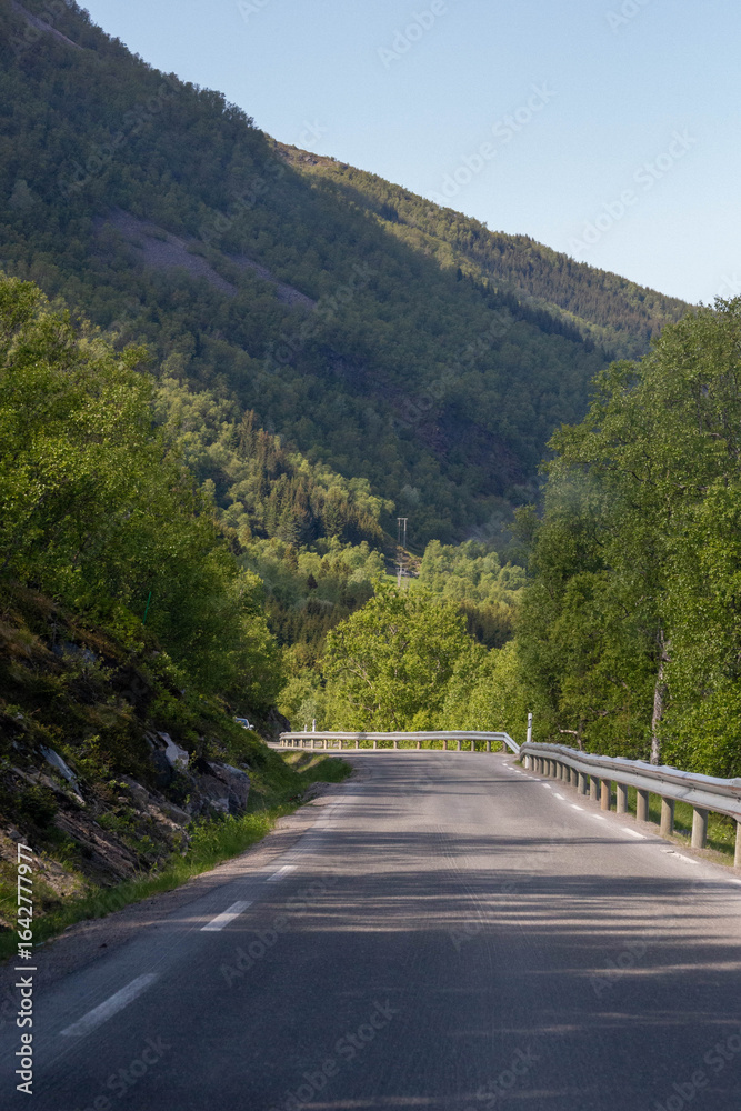 Fototapeta premium Scenic views of Norwegian fjords, snowy mountains, rural roads, seagulls, farm animals, and lush summer landscapes across Lofoten and Northern Norway in stunning Scandinavian nature.