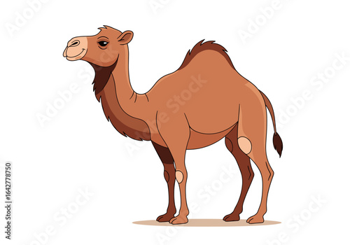 A realistic illustration of a camel standing on the sand in the desert with the sun shining brightly overhead