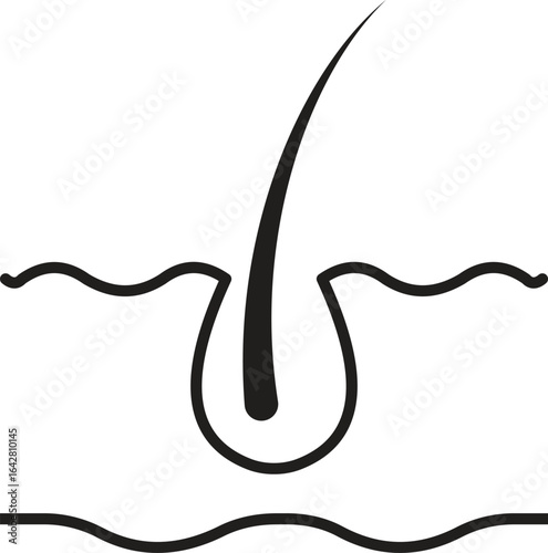 Human hair follicle icon, vector outline for anatomy, medical, healthcare, biology, dermatology, hospital, and science illustration, with transparent background