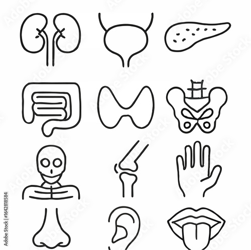 set of icons