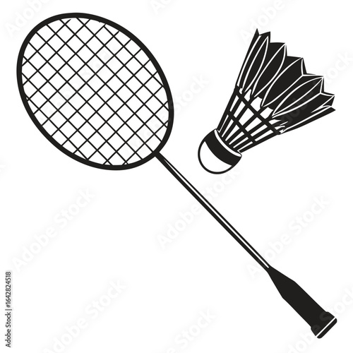 badminton racket and shuttlecock