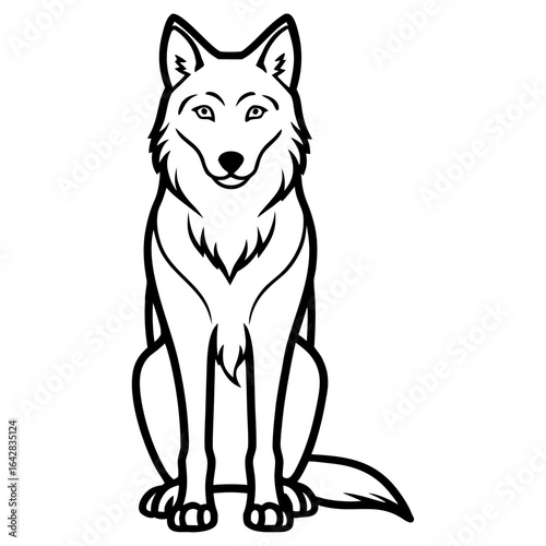Wolf sitting and looking forward, isolated on white background