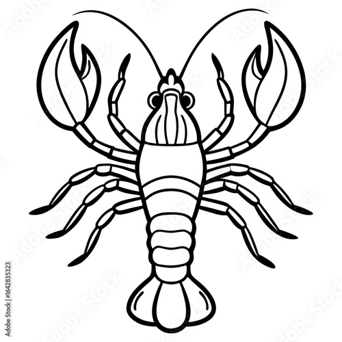 Lobster isolated on white background