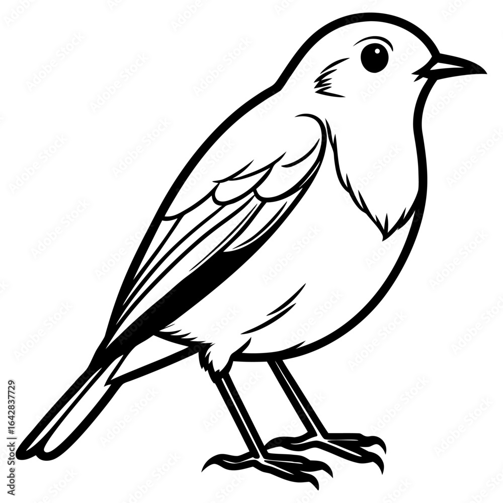 Obraz premium Black and white illustration of a small bird standing on a white background