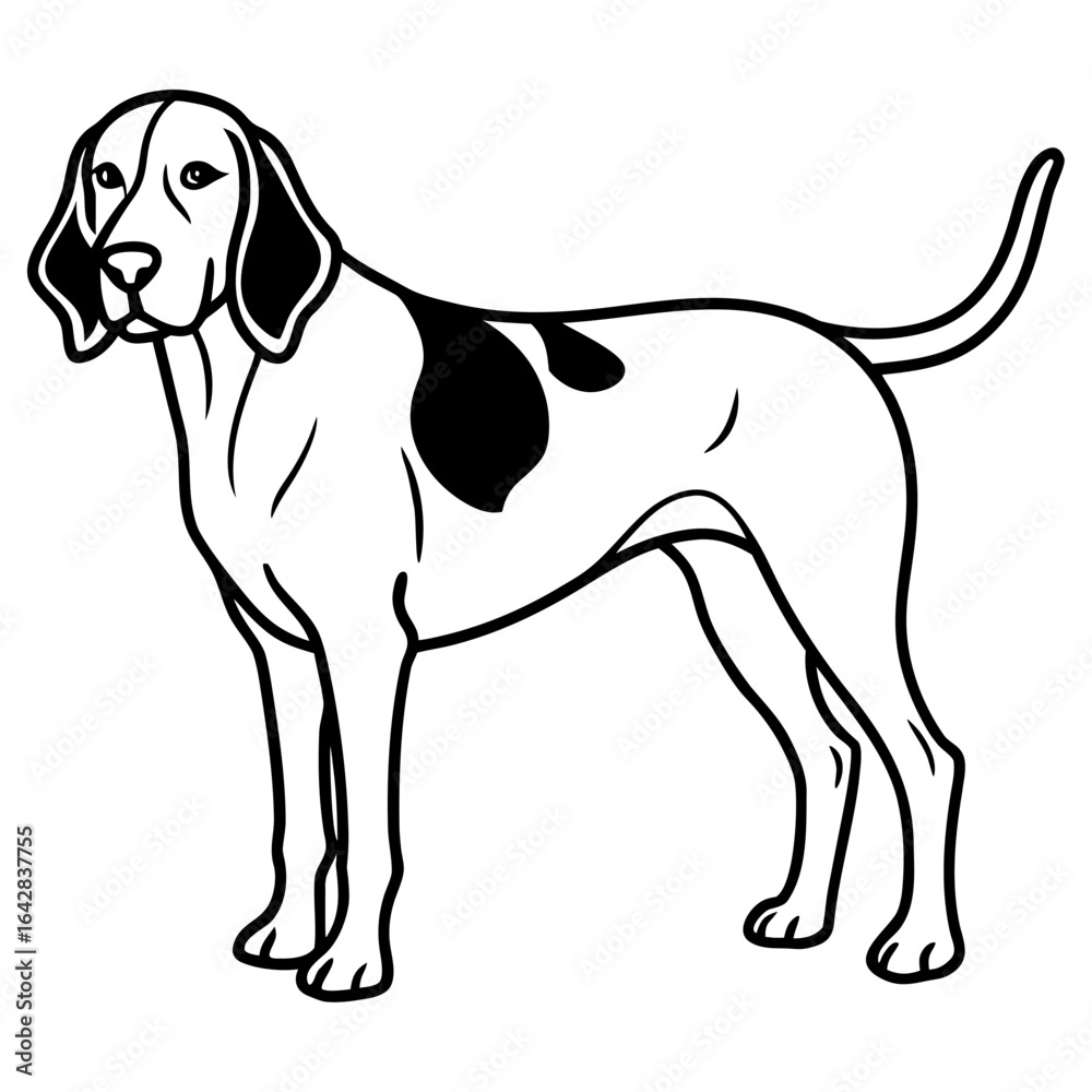 custom made wallpaper toronto digitalBlack and white illustration of a hound dog standing on a white background