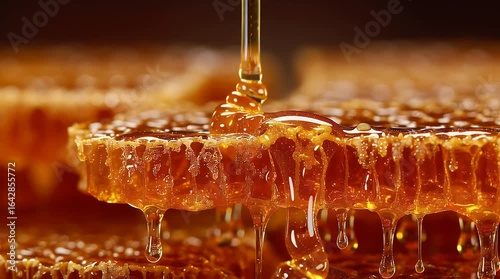 Honeycomb dripping with honey