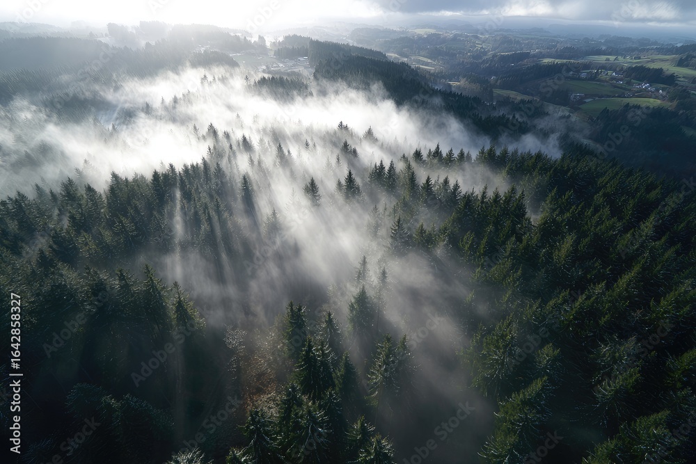 Fototapeta premium Misty forest, aerial view, sunbeams piercing fog