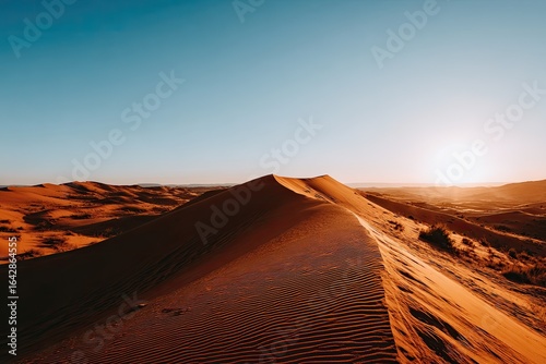 Fototapeta Naklejka Na Ścianę i Meble -  Sunrise over a vast desert dune landscape