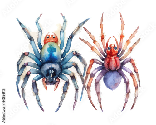 watercolor Spider vector illustration isolated on white background