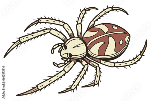 spider on a web
