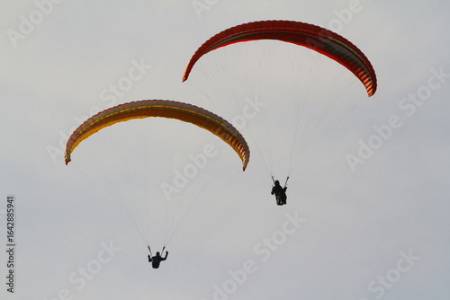 paraglider
