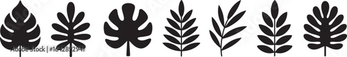 Tropical Leaf Silhouette Stickers – Monstera and Palm Leaf Vector Designs