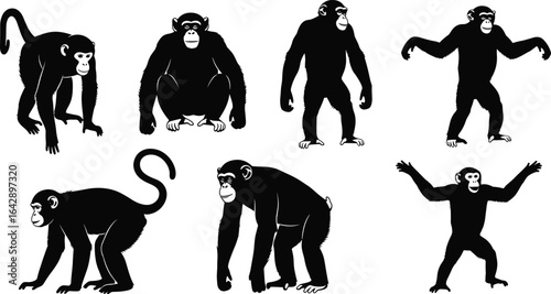 Monkey silhouette collection, primate vector set, wildlife illustration bundle, animal pose graphic, jungle fauna design, educational art, nature-themed image