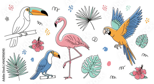 A delightful doodle vector collection of tropical birds toucans, flamingos, and parrots, on white